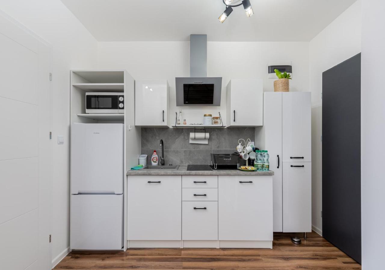Blekitna With Mezzanine Apartment