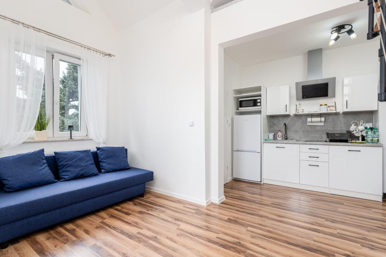 Blekitna With Mezzanine Apartment *
